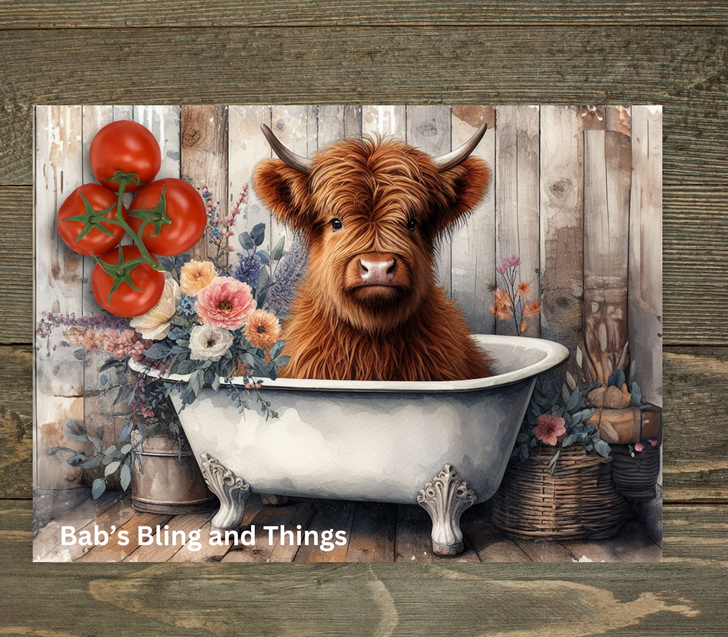 Highland Cows