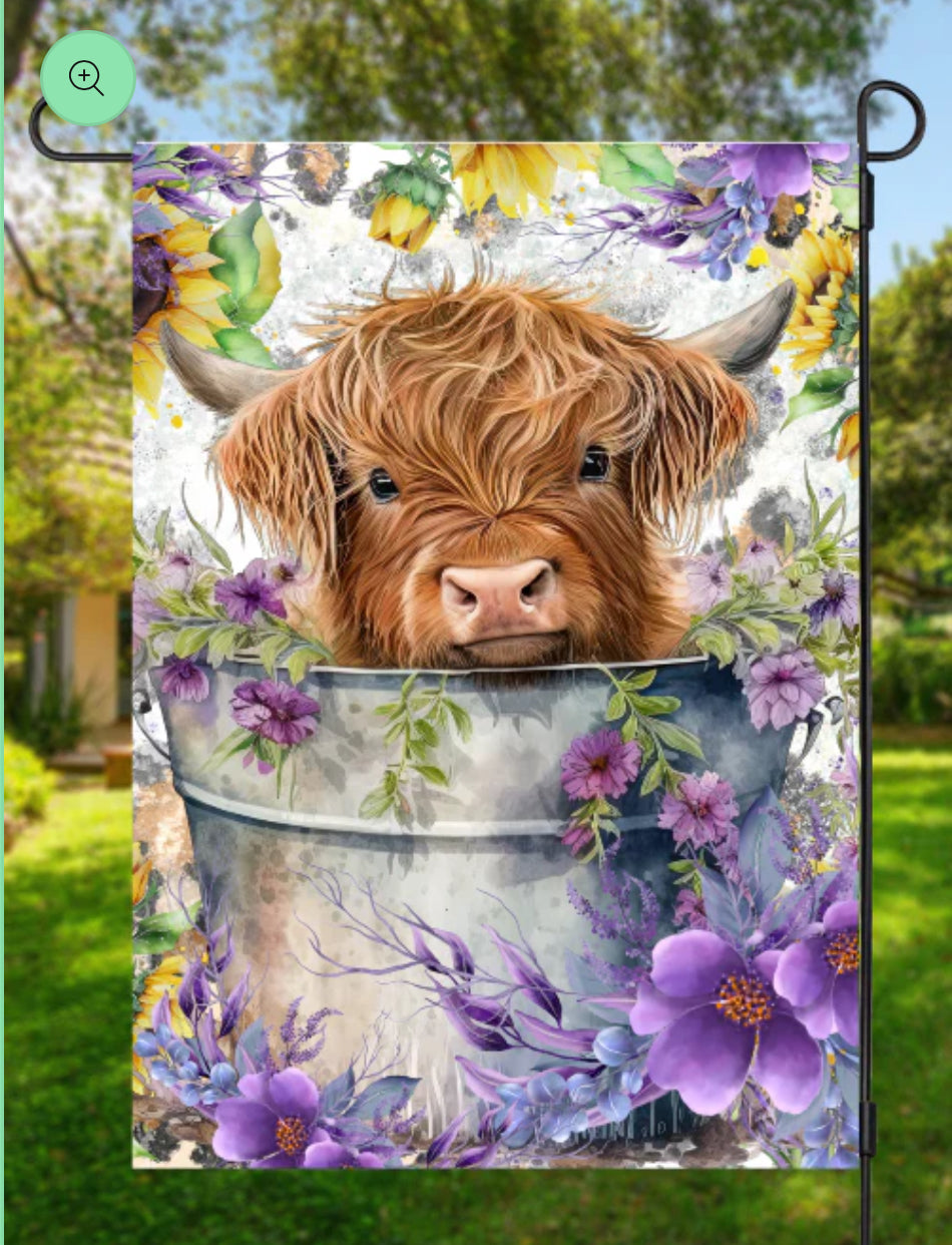 Highland Cows